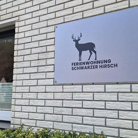 Ferienwohnung Schwarzer Hirsch Wieda Экстерьер фото