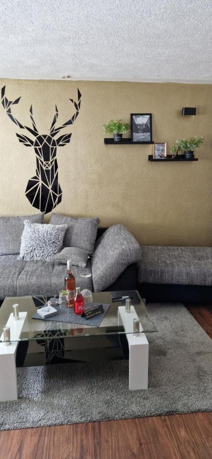 Ferienwohnung Schwarzer Hirsch Wieda Экстерьер фото