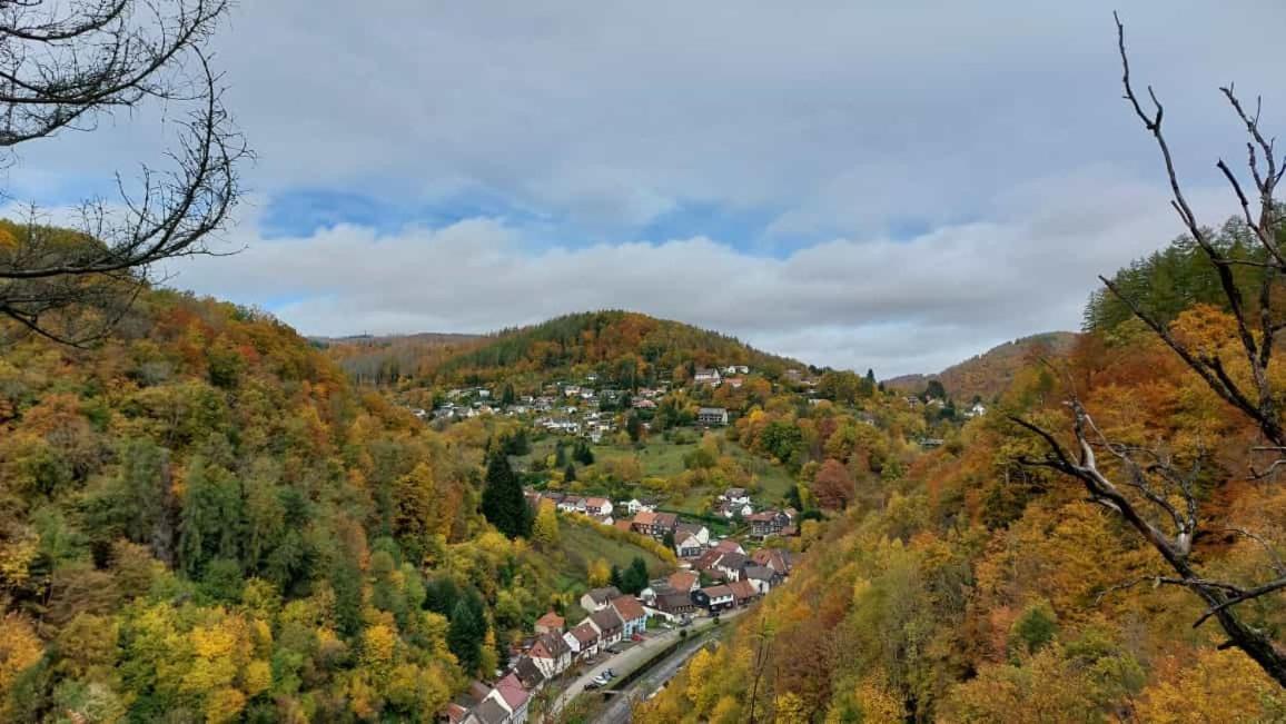 Ferienwohnung Schwarzer Hirsch Wieda Экстерьер фото